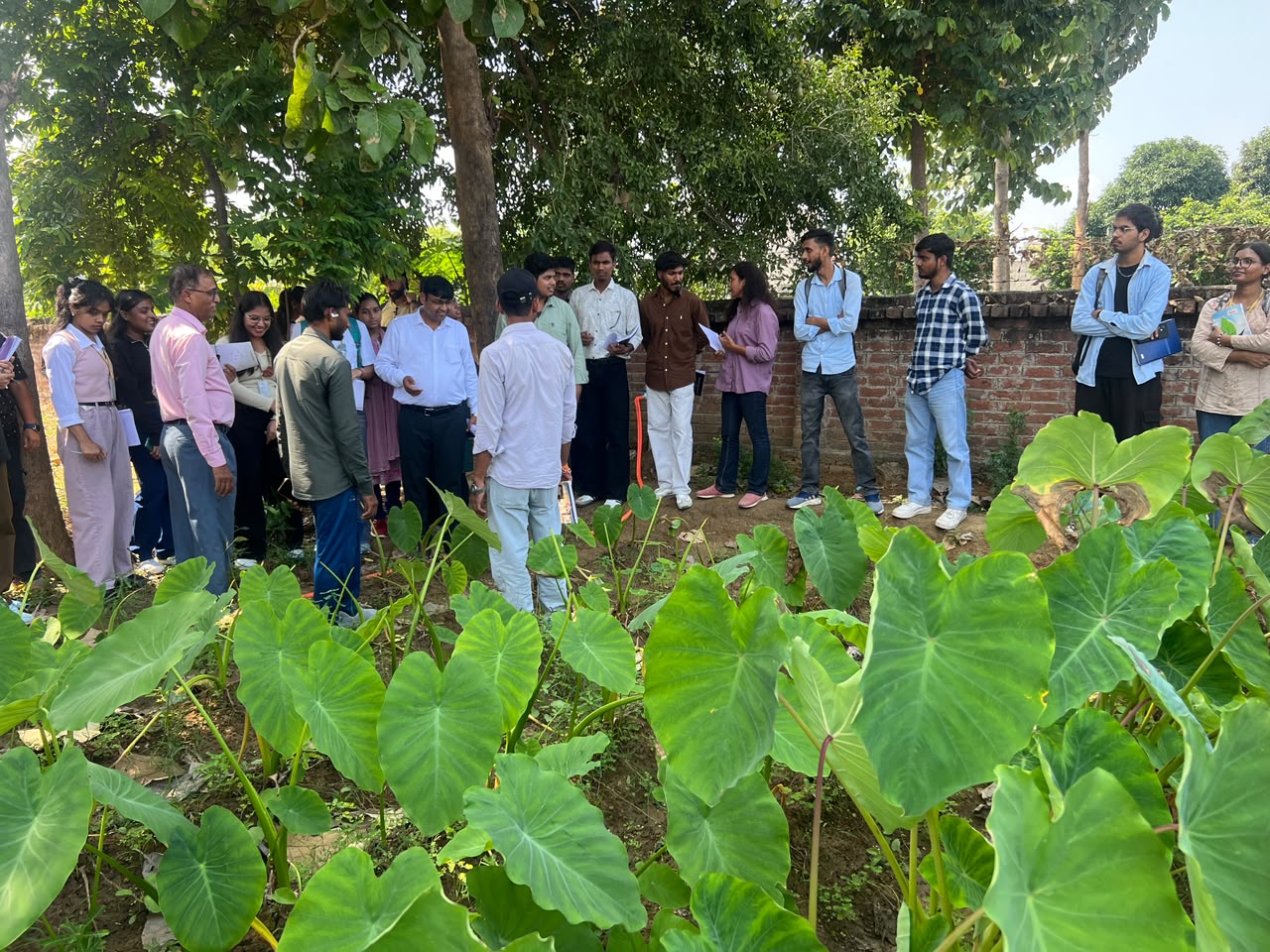 Students and instructors discussing plants during a garden field session
